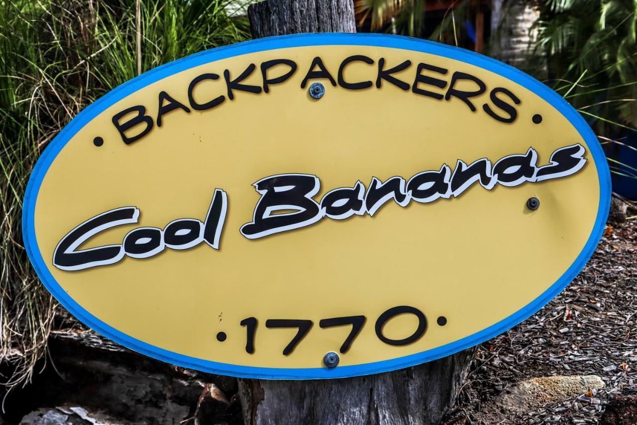 Хостел Cool Bananas Backpackers Агнес-Уотер Экстерьер фото