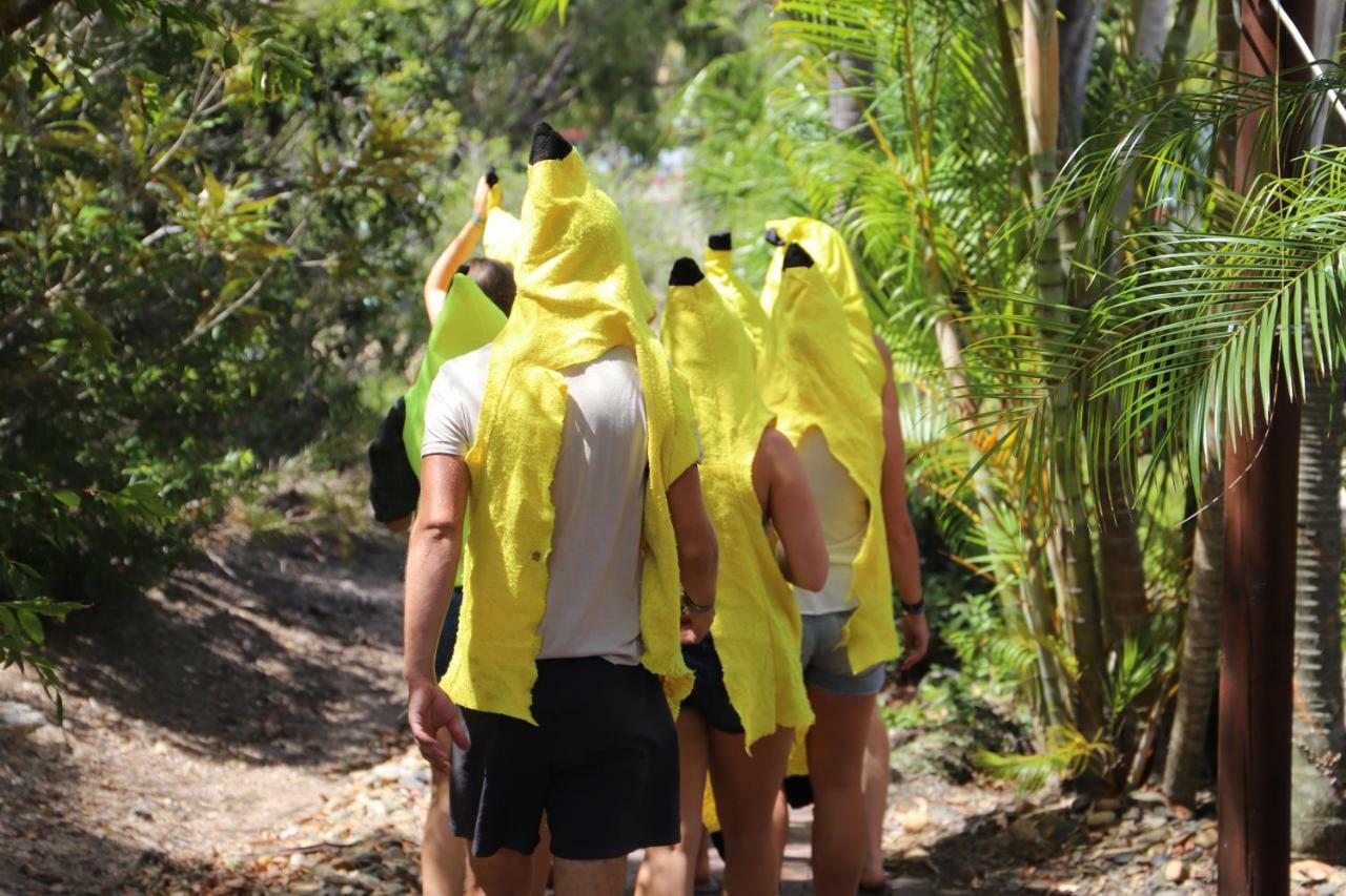 Хостел Cool Bananas Backpackers Агнес-Уотер Экстерьер фото